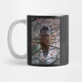 Ural owl perched on a branch Mug